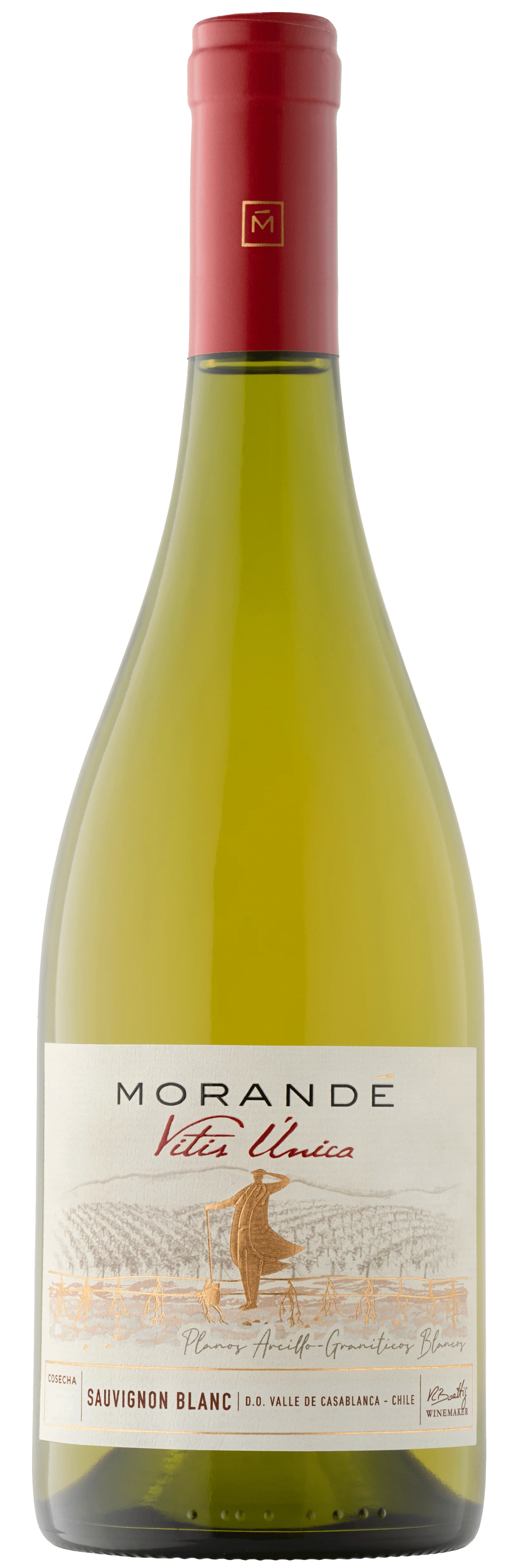 Vina Morande Vitis Única Sauvignon Blanc 2021 75cl